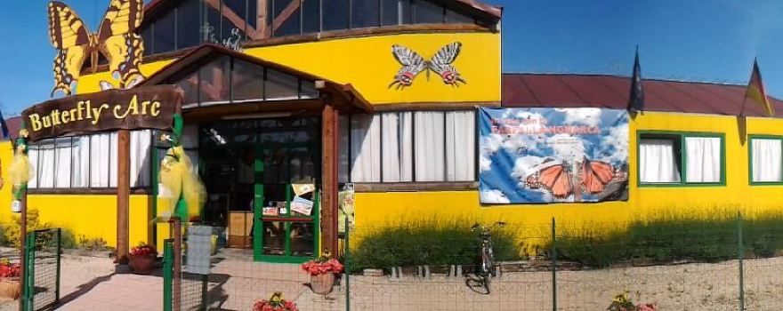 Butterfly House and Fairy Wood Butterfly Arc