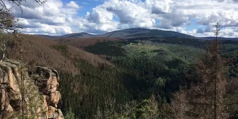 Luchs-Schaugehege Rabenklippe