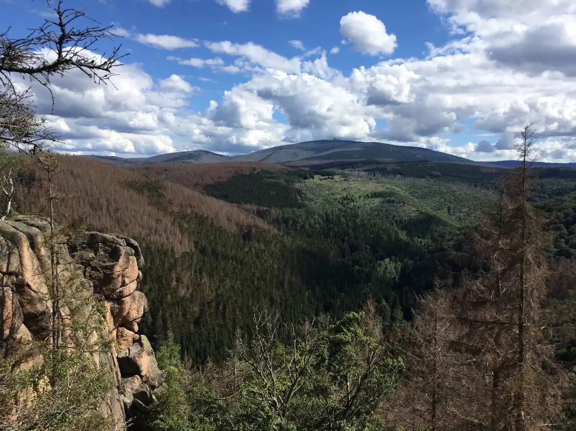 Hotels near Luchs-Schaugehege Rabenklippe