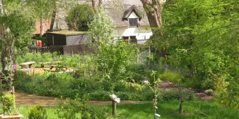 RSPB Flatford Wildlife Garden