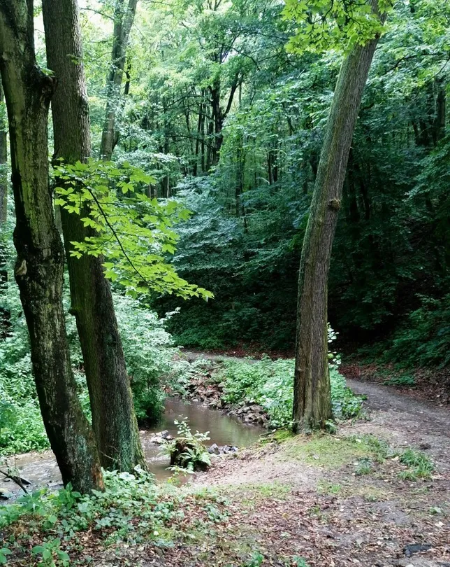 5_Bratislava Forest Park