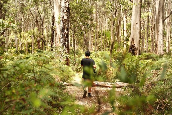 Boranup Karri Forest