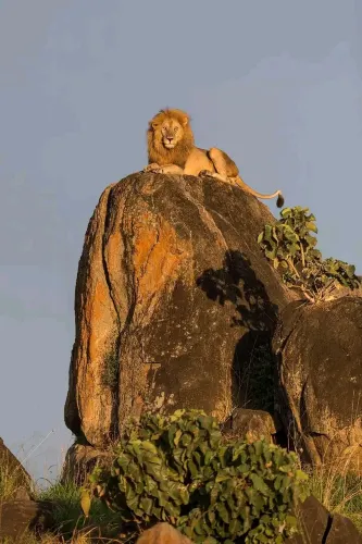 Semuliki National Park