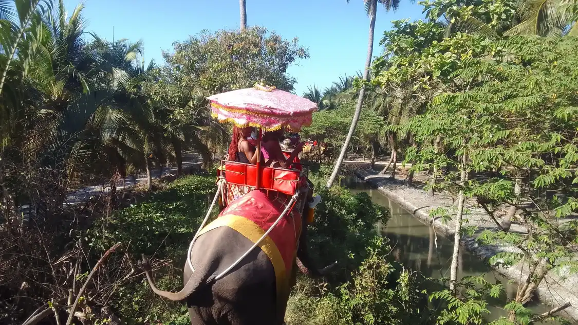 Hotel dekat Damnoen Saduak Elephant Village