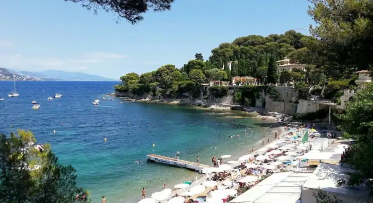 Hotels near Paloma Beach