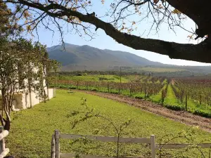 Beaumont Family Wines