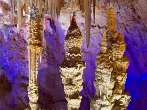 Grotte de la Salamandre