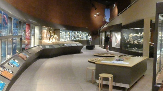 Museum of Central Australia