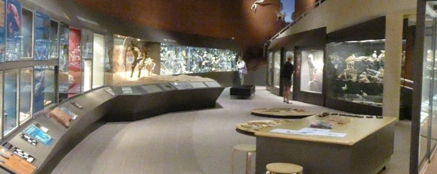Museum of Central Australia
