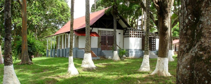 Museum Albert Schweitzer