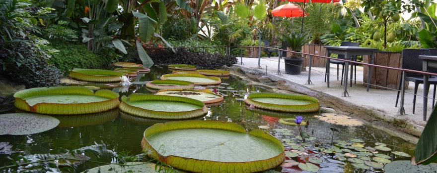 Jardin Botanique du Beau Pays