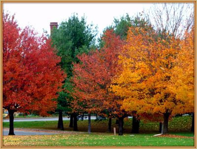 Bellamy Harbor Park