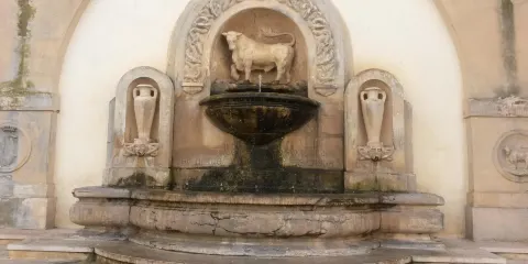 Fontana Del Toro
