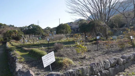 Kyu Shimabarahan Yakuen Ato