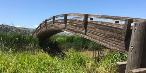 Martinez Regional Shoreline