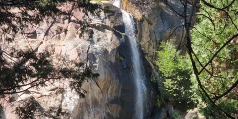 Grizzly Falls