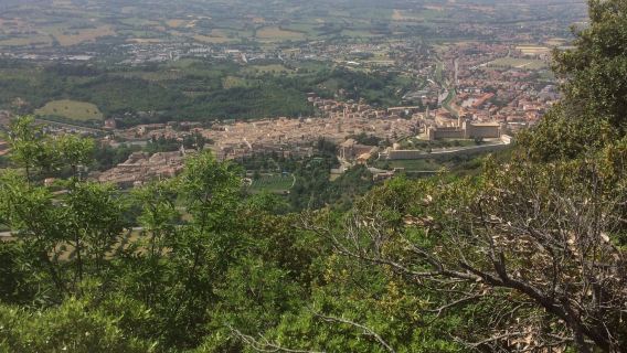 Bosco Sacro