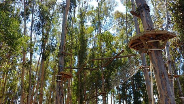 Acrobranch Stellenbosch