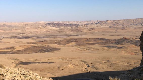 Desert Sculpture Park