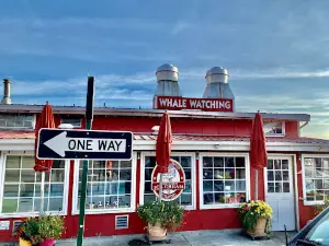 Western Prince Whale Watching Adventures