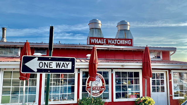 Western Prince Whale Watching Adventures