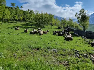Belediye Parkı