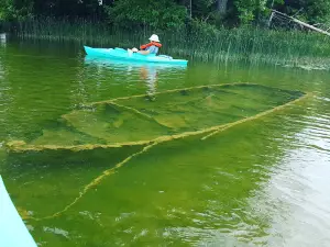 Lake of the Woods