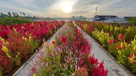 TELAGA EMAS BERSINAR