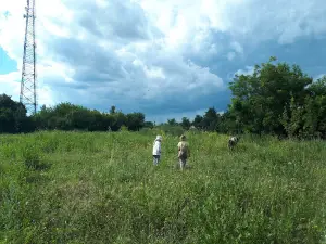 Saltivsʹkyy Arkheolohichnyy Istoryko-Kulʹturnyy Zapovidnyk