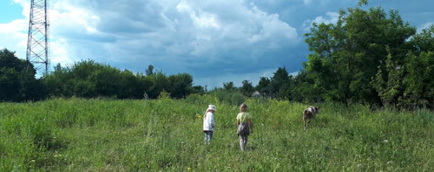 Saltivsʹkyy Arkheolohichnyy Istoryko-Kulʹturnyy Zapovidnyk