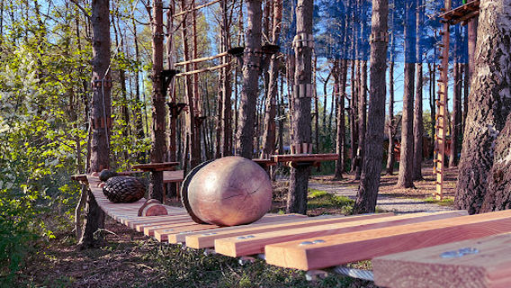 Linolandia Park Linowy Wicie