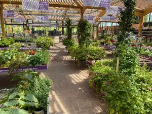 MY GARDEN EXINCOURT