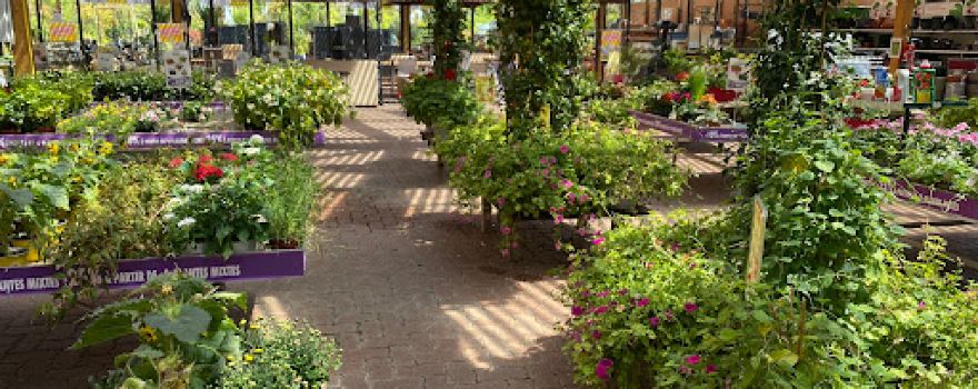 MY GARDEN EXINCOURT