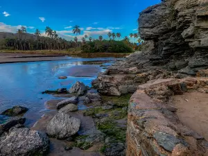 Playa Las Palmas