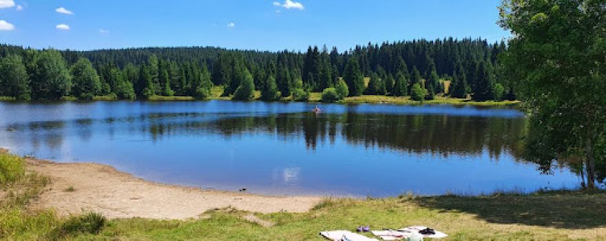 Přebuz