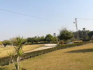 Herbarium And Botanical Garden, SALU