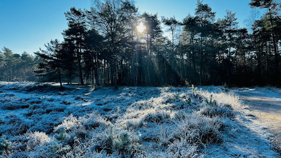 De big 5 van Otterlo