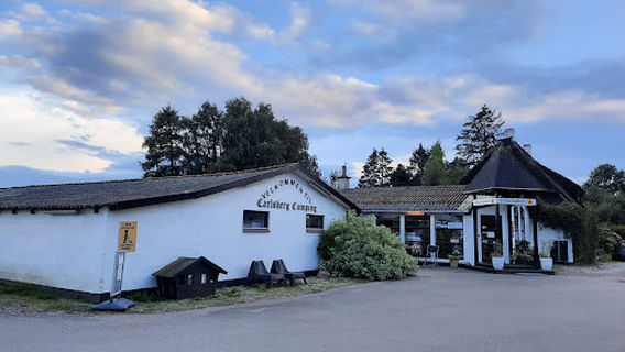 Carlsberg Camping