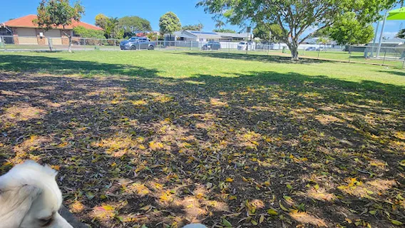 Dog Park