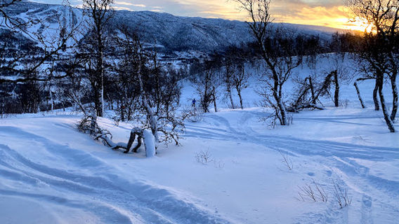 Geilo Bike Park