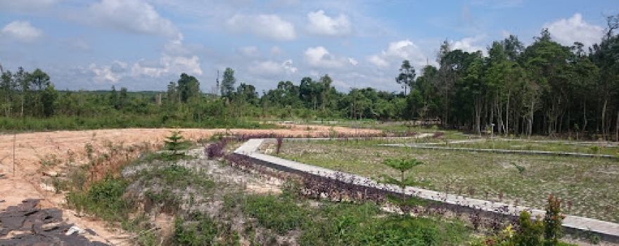 Kebun Raya Sampit
