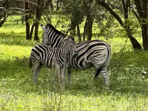 Fathala Wildlife Reserve