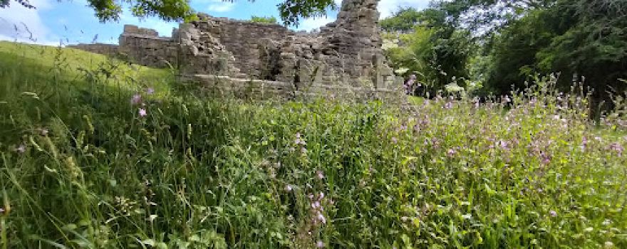 Beaurepaire Priory (Ruins)