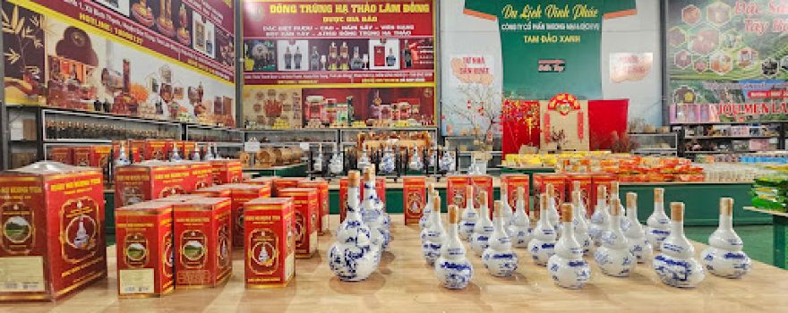 Điểm Dừng Nghỉ IC4 KM25 Nút Giao Tam Đảo