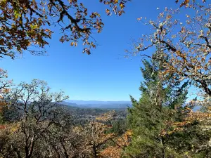 Cathedral Hills