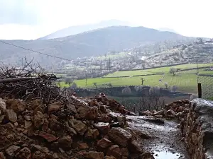 Seyid Ali Erzen Kültür ve Taziye Evi