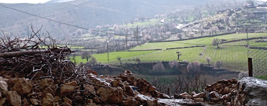 Seyid Ali Erzen Kültür ve Taziye Evi