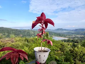 Wisata Sabanase