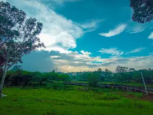 Singwasa Park