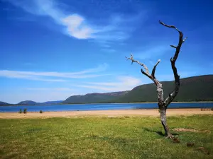 Loskop Dam Koppie